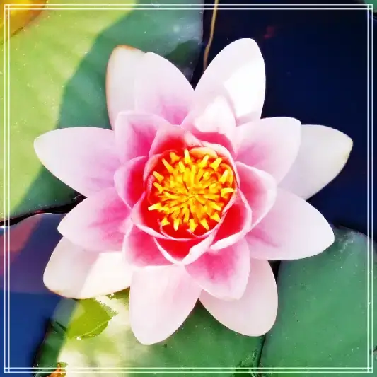 화담숲-주말-정보
