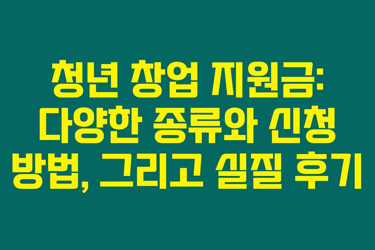 청년 창업 지원금: 다양한 종류와 신청 방법, 그리고 실질 후기