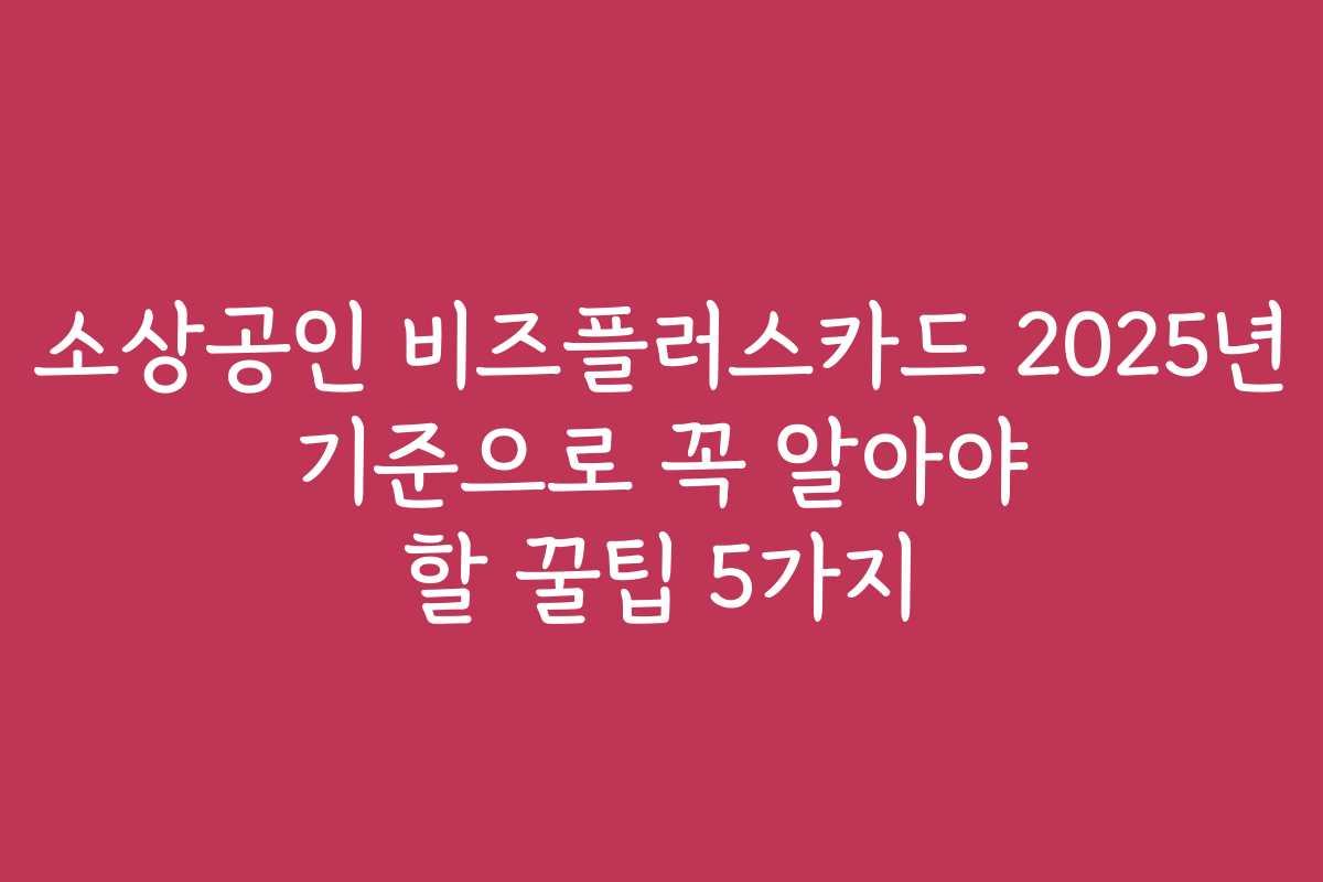 소상공인 비즈플러스카드 2025년 기준으로 꼭 알아야 할 꿀팁 5가지