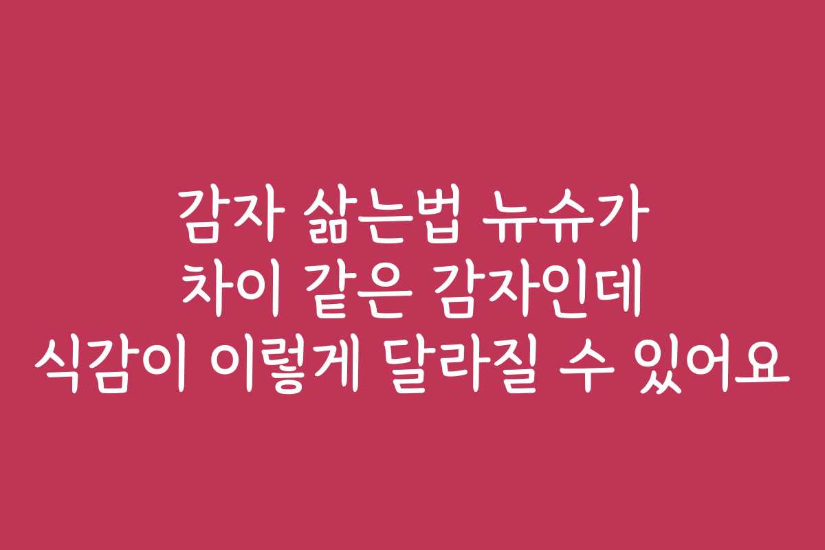 감자 삶는법 뉴슈가 차이 같은 감자인데 식감이 이렇게 달라질 수 있어요