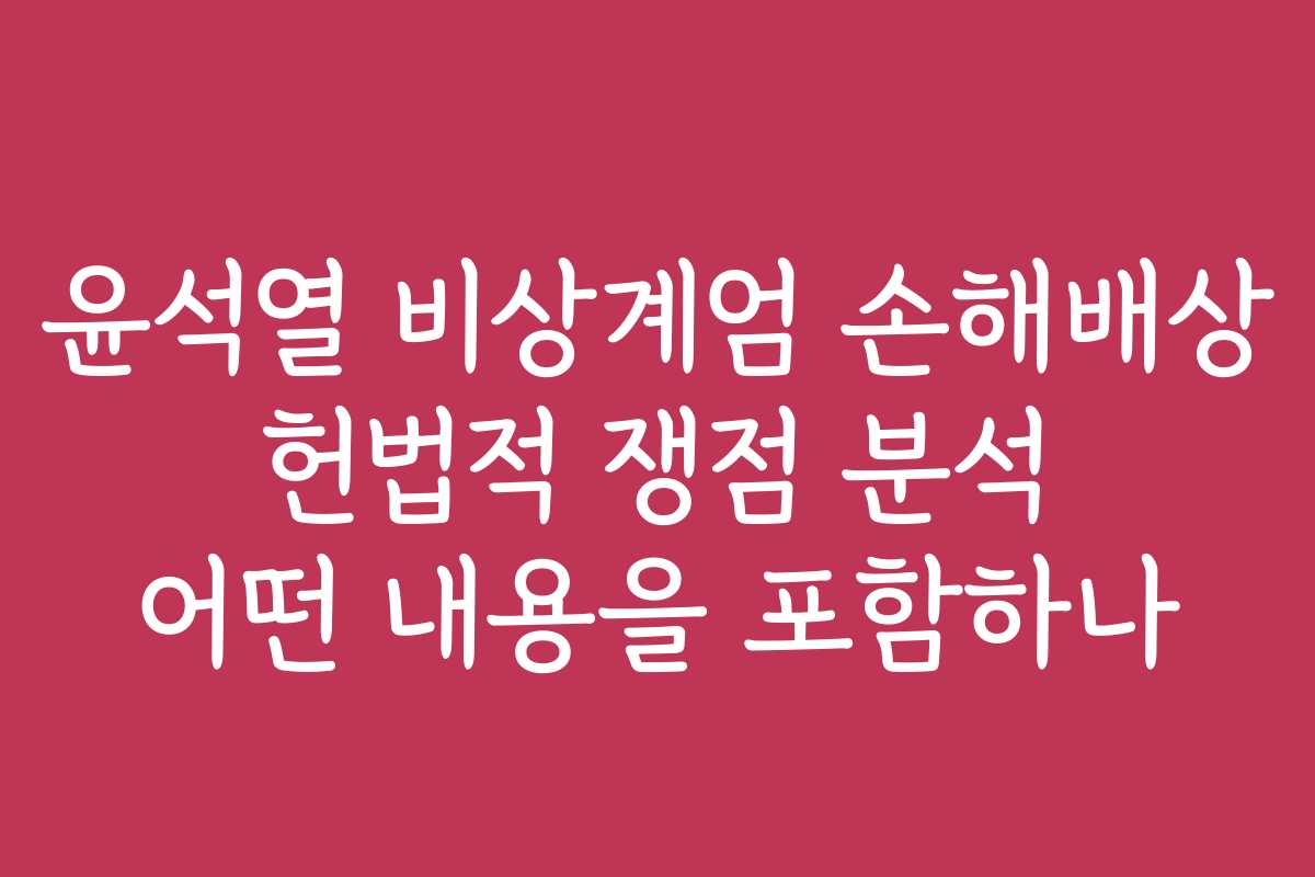 윤석열 비상계엄 손해배상 헌법적 쟁점 분석 어떤 내용을 포함하나