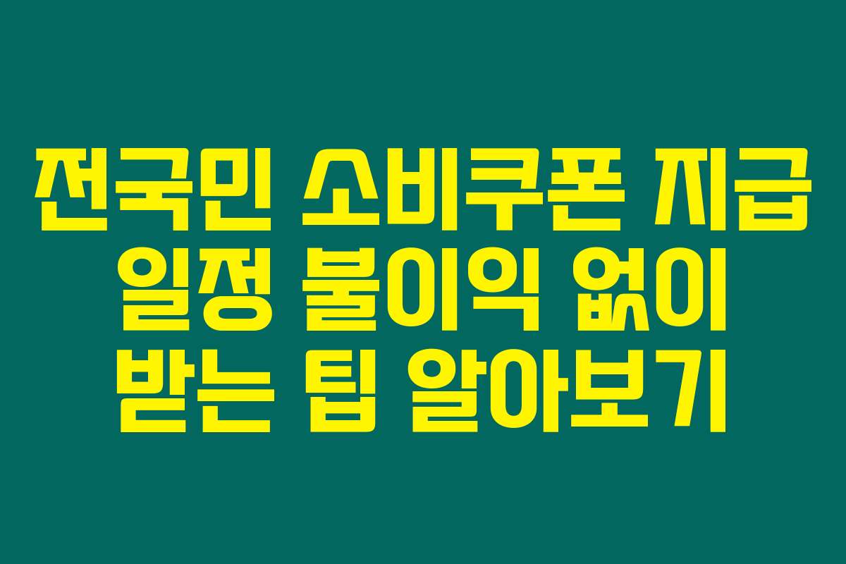 전국민 소비쿠폰 지급 일정 불이익 없이 받는 팁 알아보기