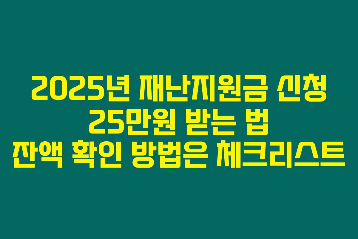 2025년 재난지원금 신청 25만원 받는 법 잔액 확인 방법은 체크리스트