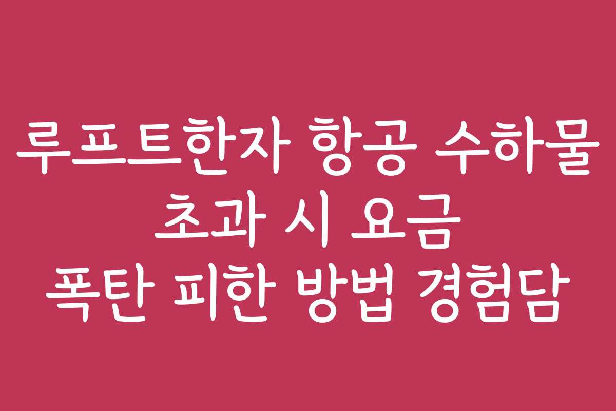 루프트한자 항공 수하물 초과 시 요금 폭탄 피한 방법 경험담