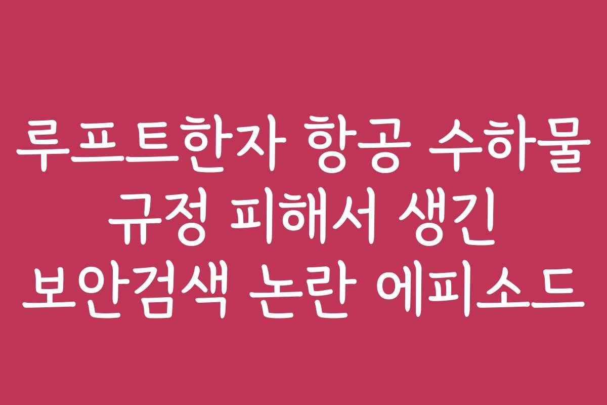 루프트한자 항공 수하물 규정 피해서 생긴 보안검색 논란 에피소드