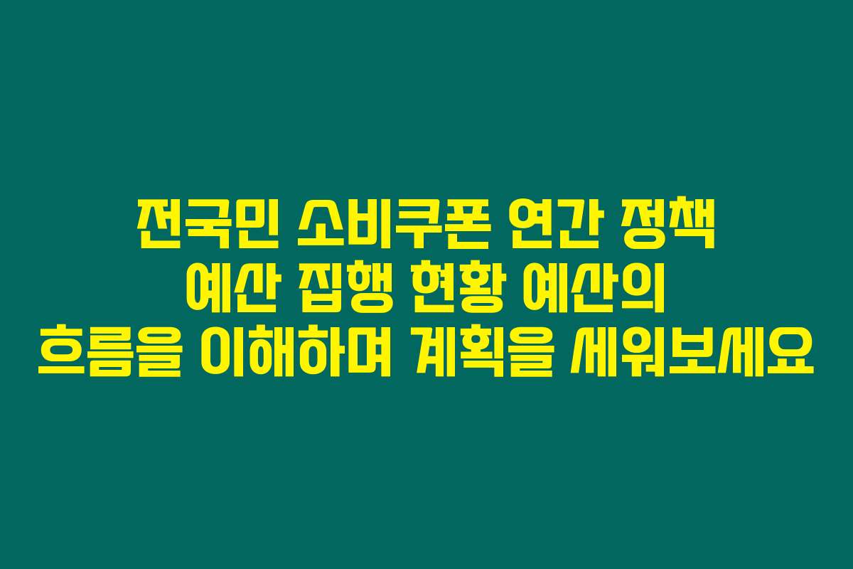 전국민 소비쿠폰 연간 정책 예산 집행 현황 예산의 흐름을 이해하며 계획을 세워보세요