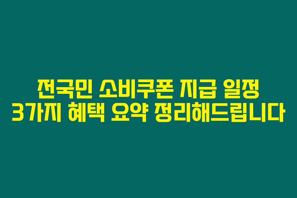 전국민 소비쿠폰 지급 일정 3가지 혜택 요약 정리해드립니다