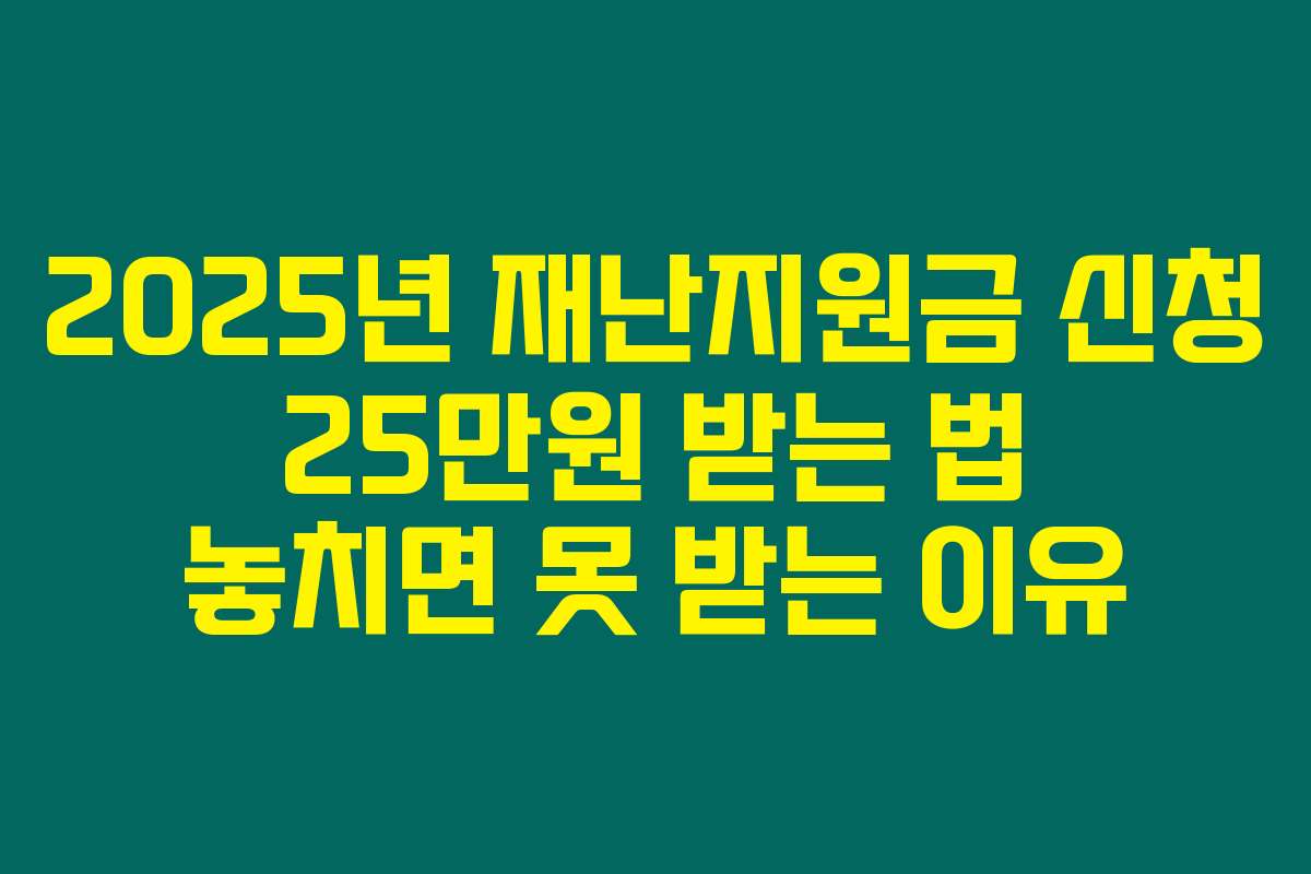 2025년 재난지원금 신청 25만원 받는 법 놓치면 못 받는 이유