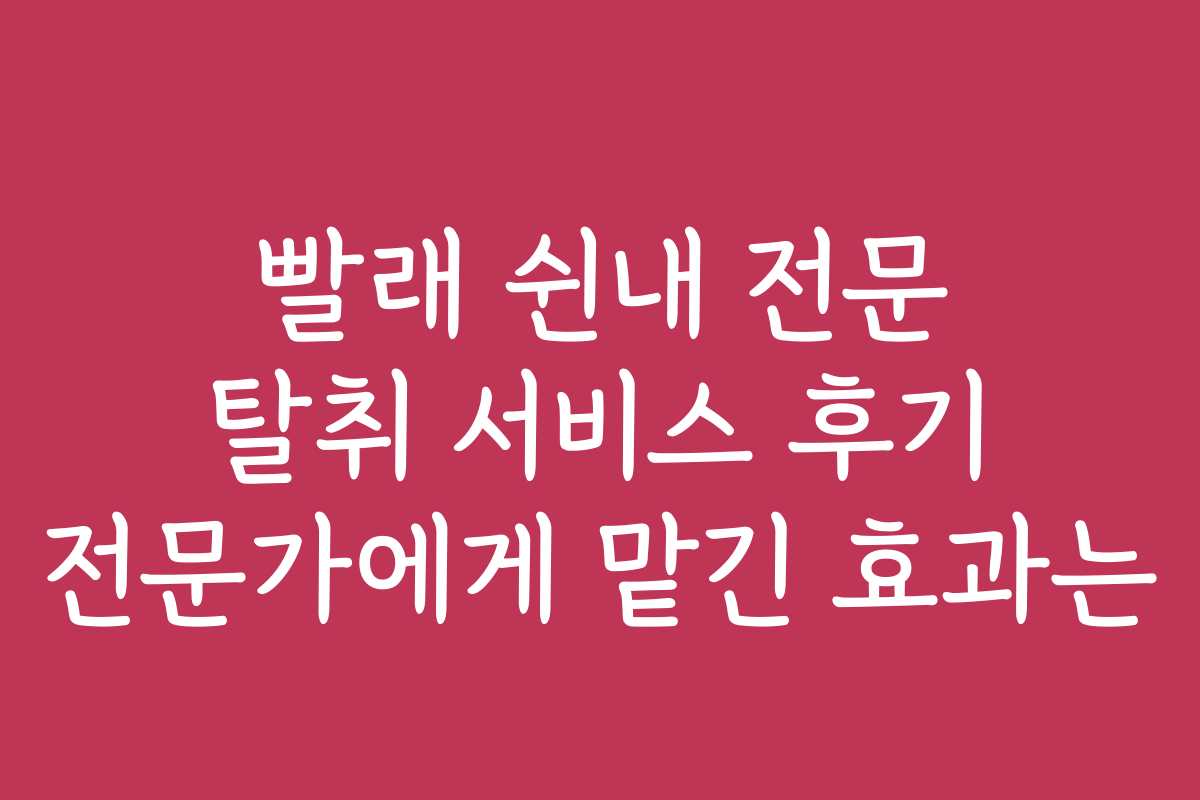 빨래 쉰내 전문 탈취 서비스 후기 전문가에게 맡긴 효과는