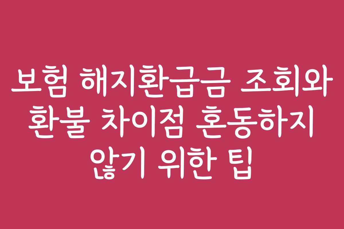 보험 해지환급금 조회와 환불 차이점 혼동하지 않기 위한 팁