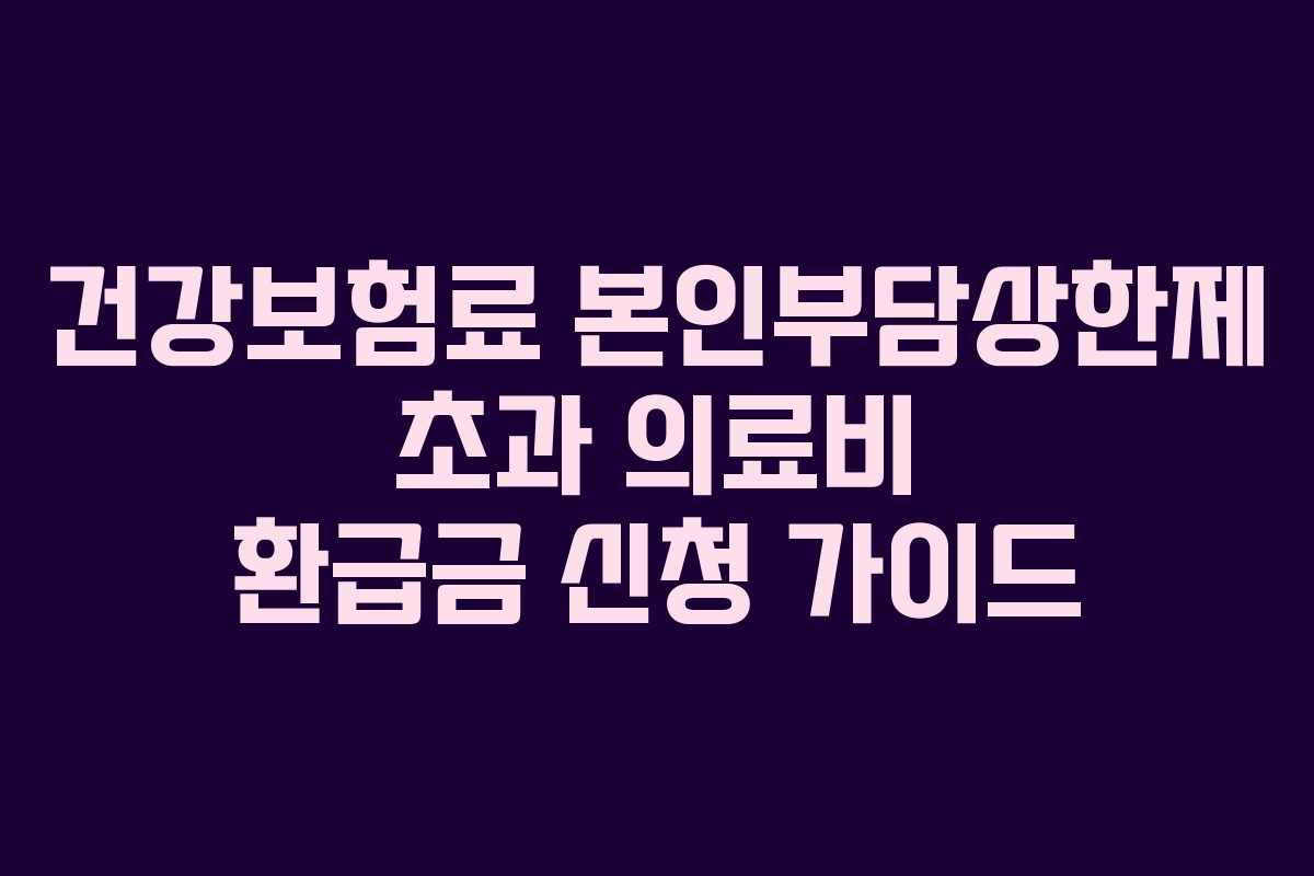 건강보험료 본인부담상한제 초과 의료비 환급금 신청 가이드