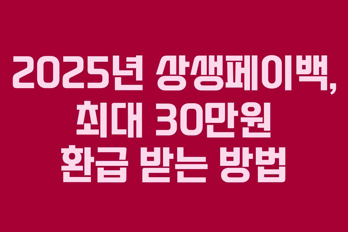 2025년 상생페이백, 최대 30만원 환급 받는 방법