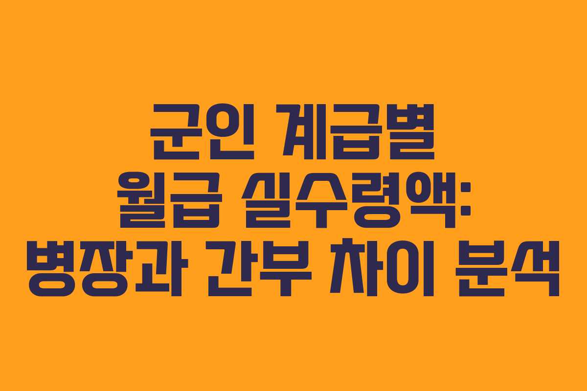 군인 계급별 월급 실수령액: 병장과 간부 차이 분석