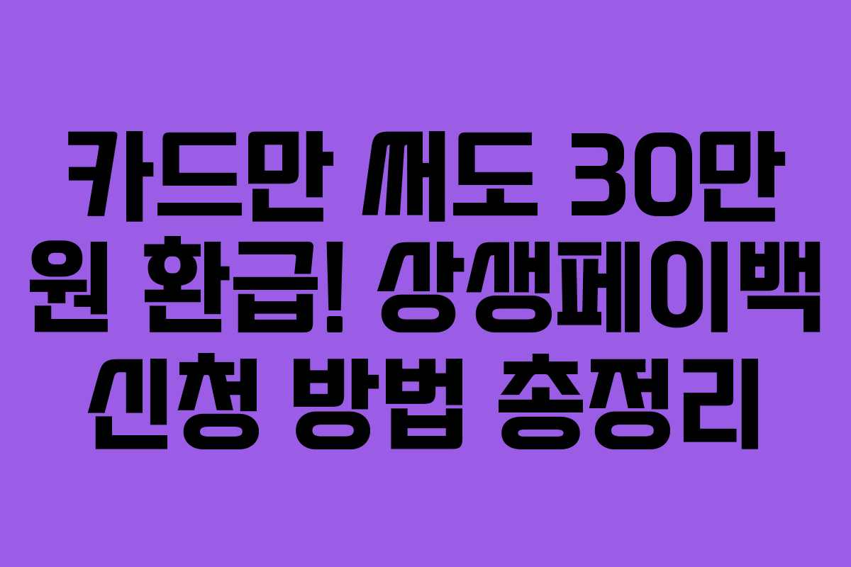 카드만 써도 30만 원 환급! 상생페이백 신청 방법 총정리 카드만 써도 30만 원 환급! 상생페이백 신청 방법 총정리
