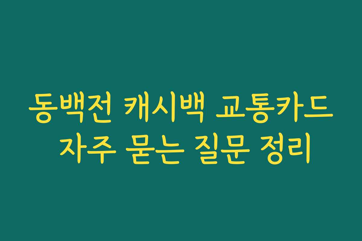 동백전 캐시백 교통카드 자주 묻는 질문 정리