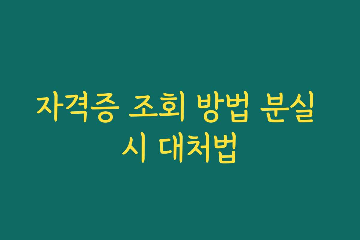 자격증 조회 방법 분실 시 대처법 자격증 조회 방법 분실 시 대처법