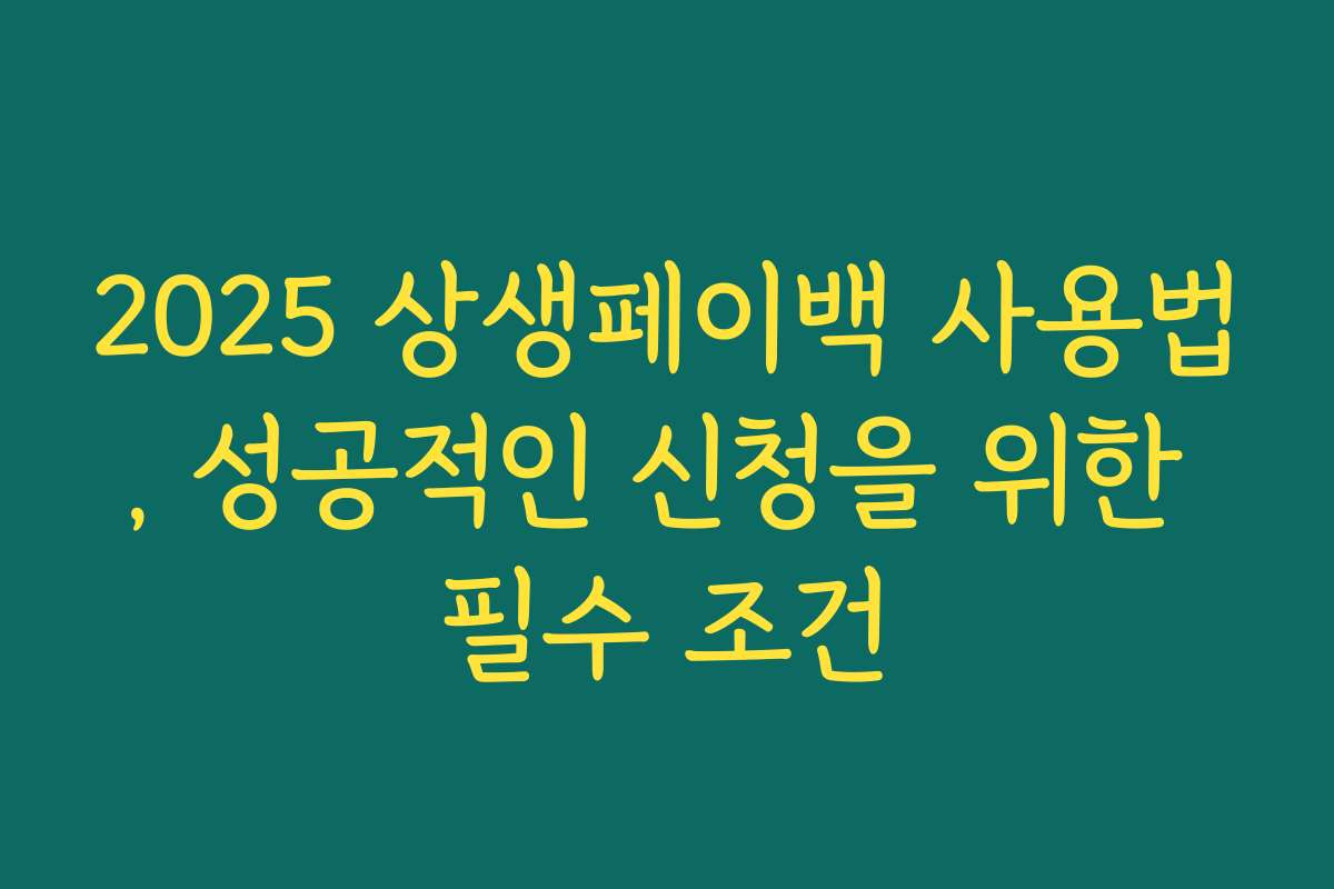 2025 상생페이백 사용법, 성공적인 신청을 위한 필수 조건