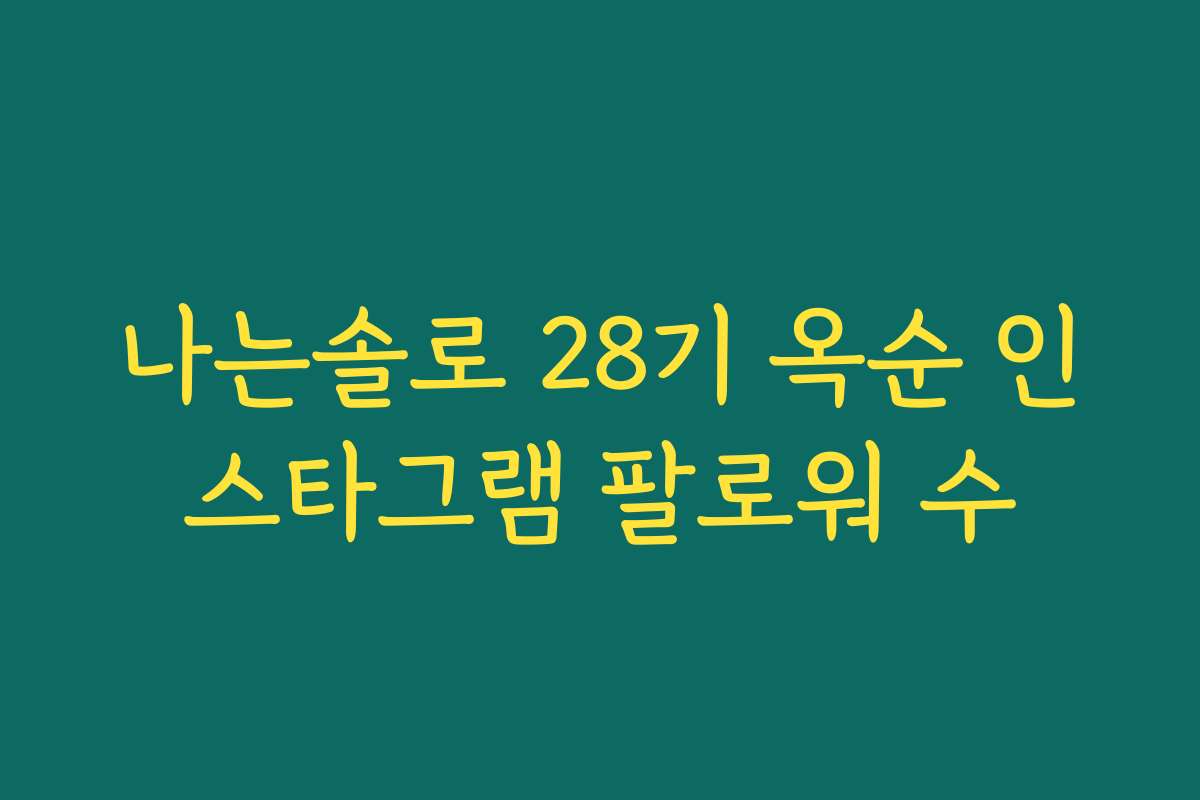 나는솔로 28기 옥순 인스타그램 팔로워 수