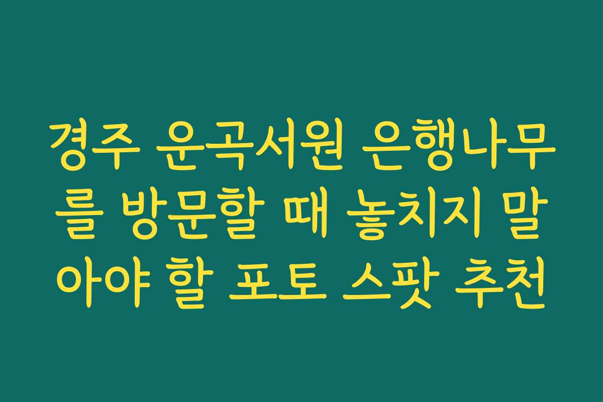 경주 운곡서원 은행나무를 방문할 때 놓치지 말아야 할 포토 스팟 추천