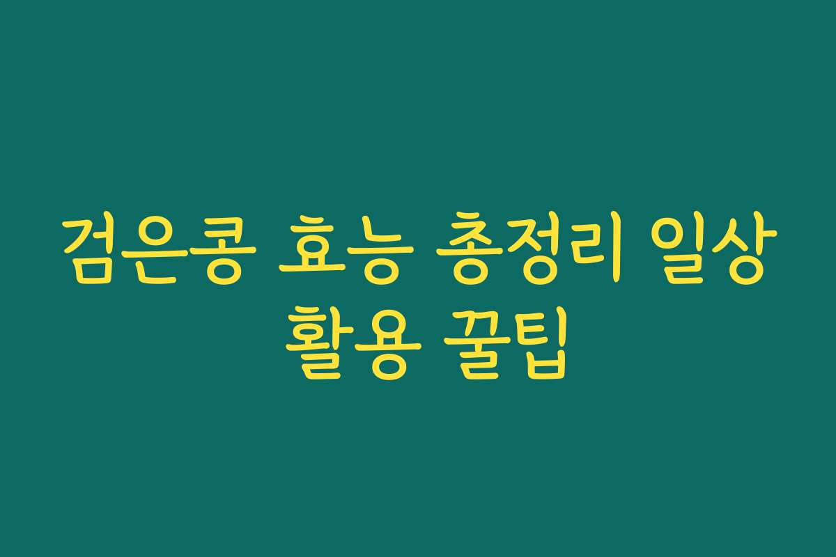 검은콩 효능 총정리 일상 활용 꿀팁 검은콩 효능 총정리 일상 활용 꿀팁