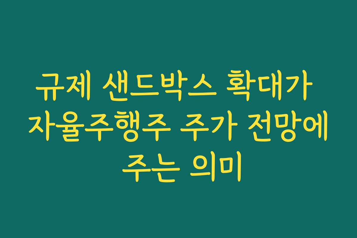 규제 샌드박스 확대가 자율주행주 주가 전망에 주는 의미 규제 샌드박스 확대가 자율주행주 주가 전망에 주는 의미