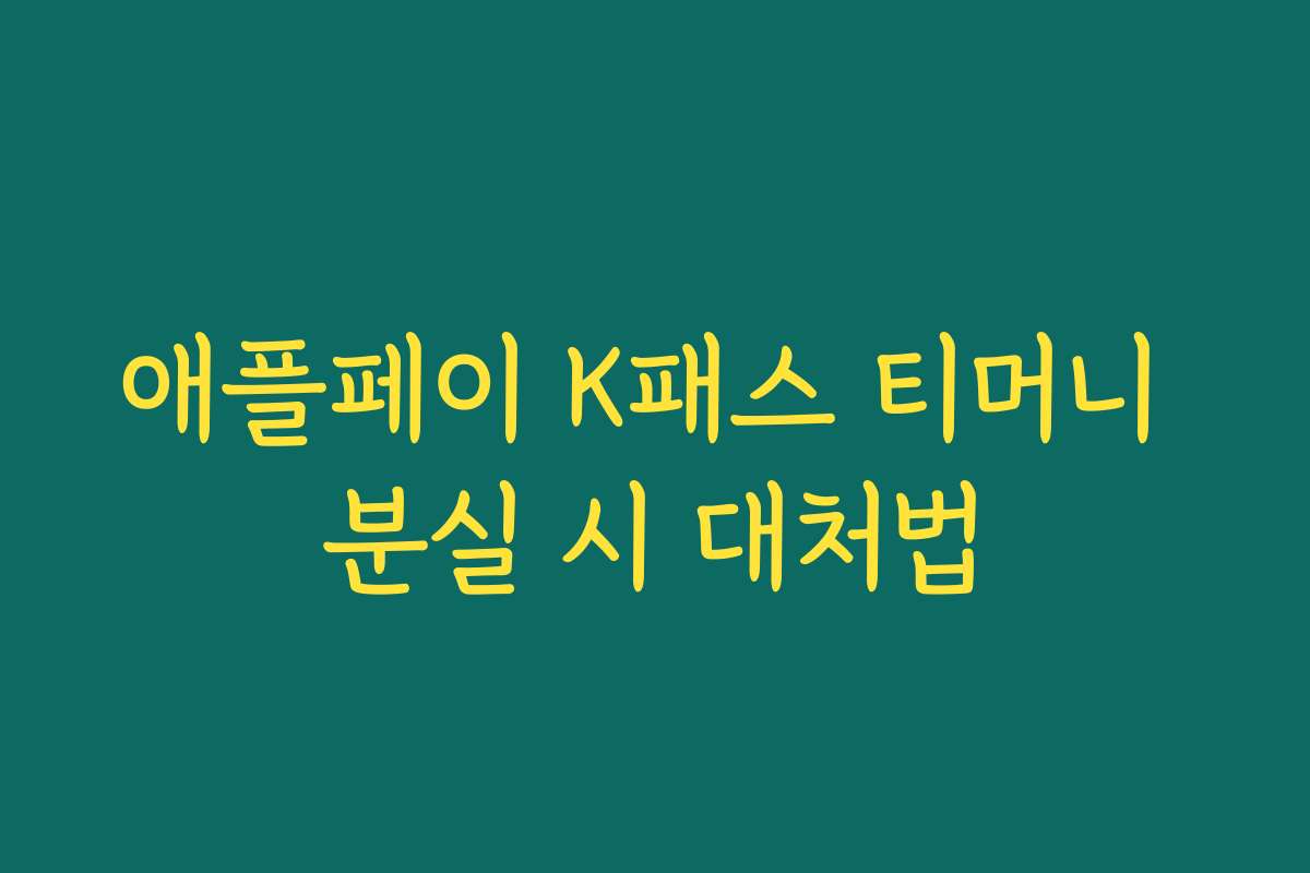 애플페이 K패스 티머니 분실 시 대처법 애플페이 K패스 티머니 분실 시 대처법
