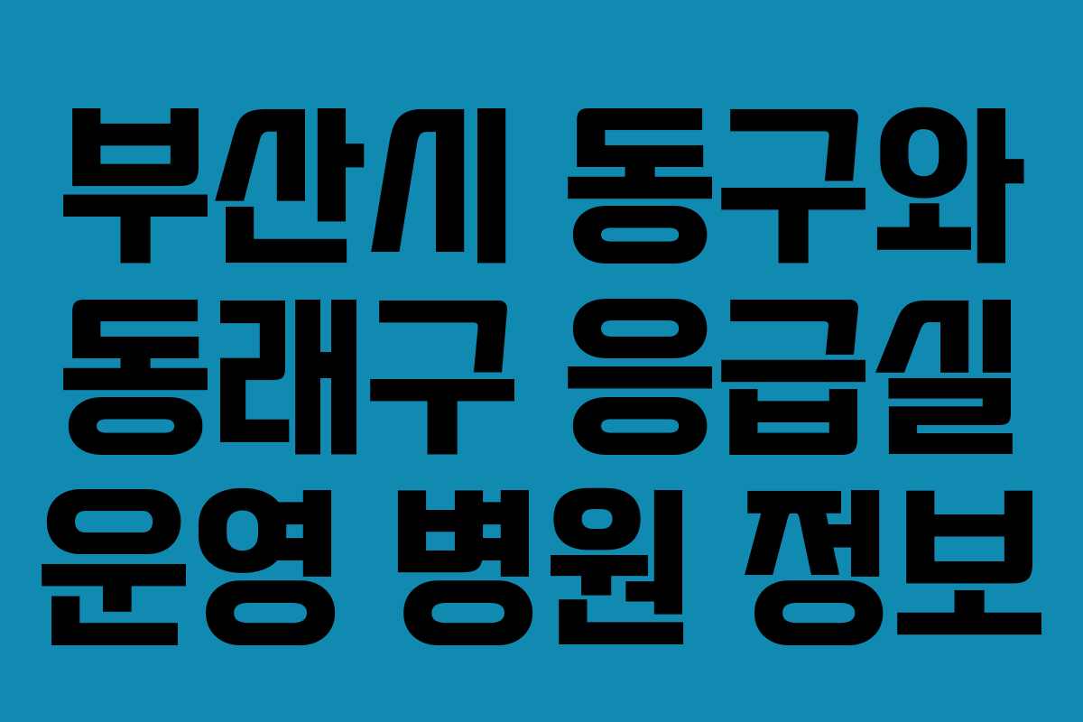 부산시 동구와 동래구 응급실 운영 병원 정보 부산시 동구와 동래구 응급실 운영 병원 정보