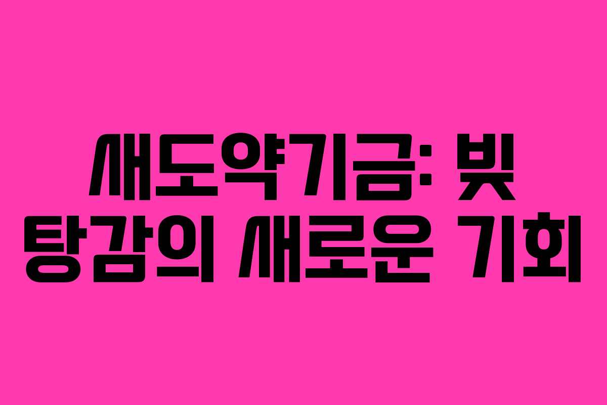 새도약기금: 빚 탕감의 새로운 기회