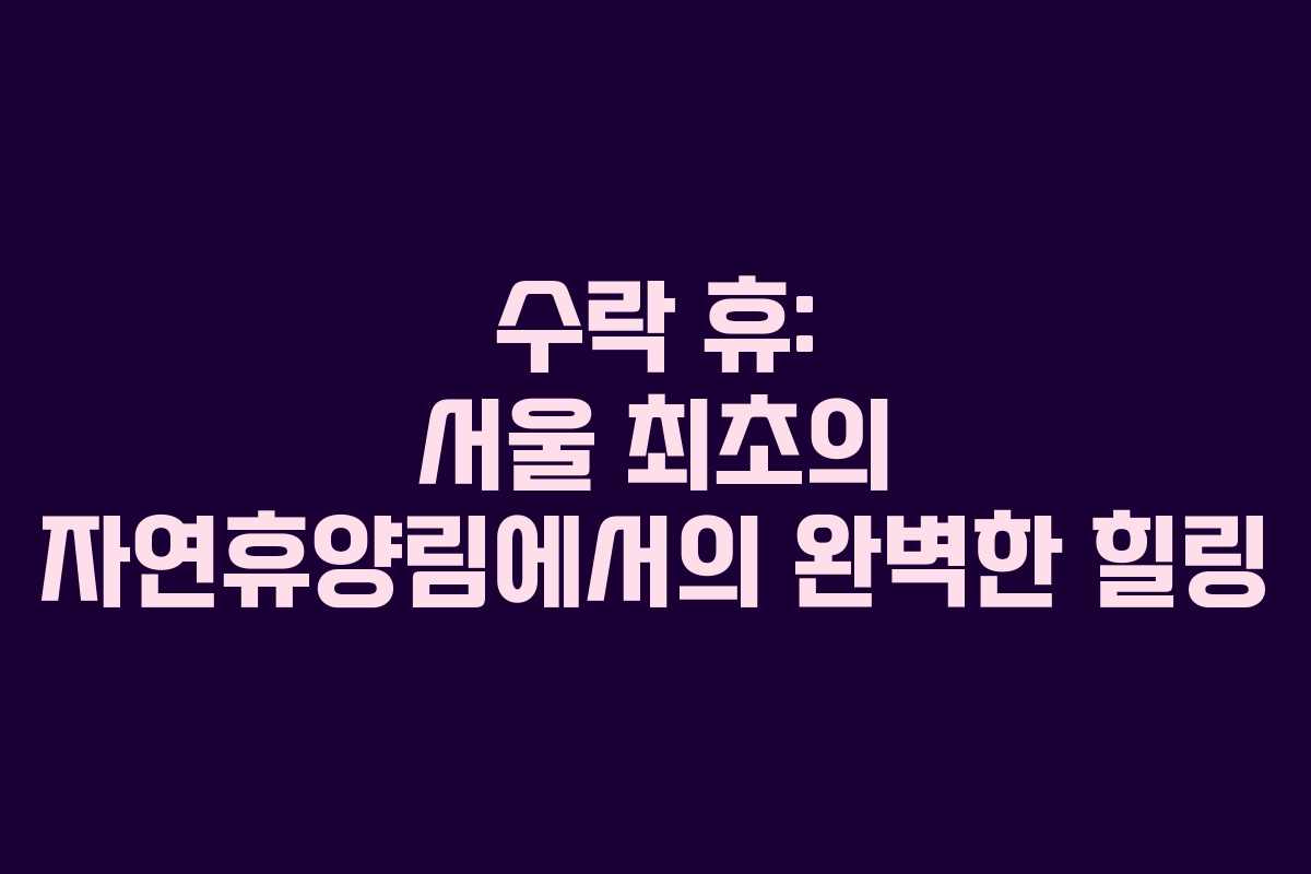 수락 휴: 서울 최초의 자연휴양림에서의 완벽한 힐링