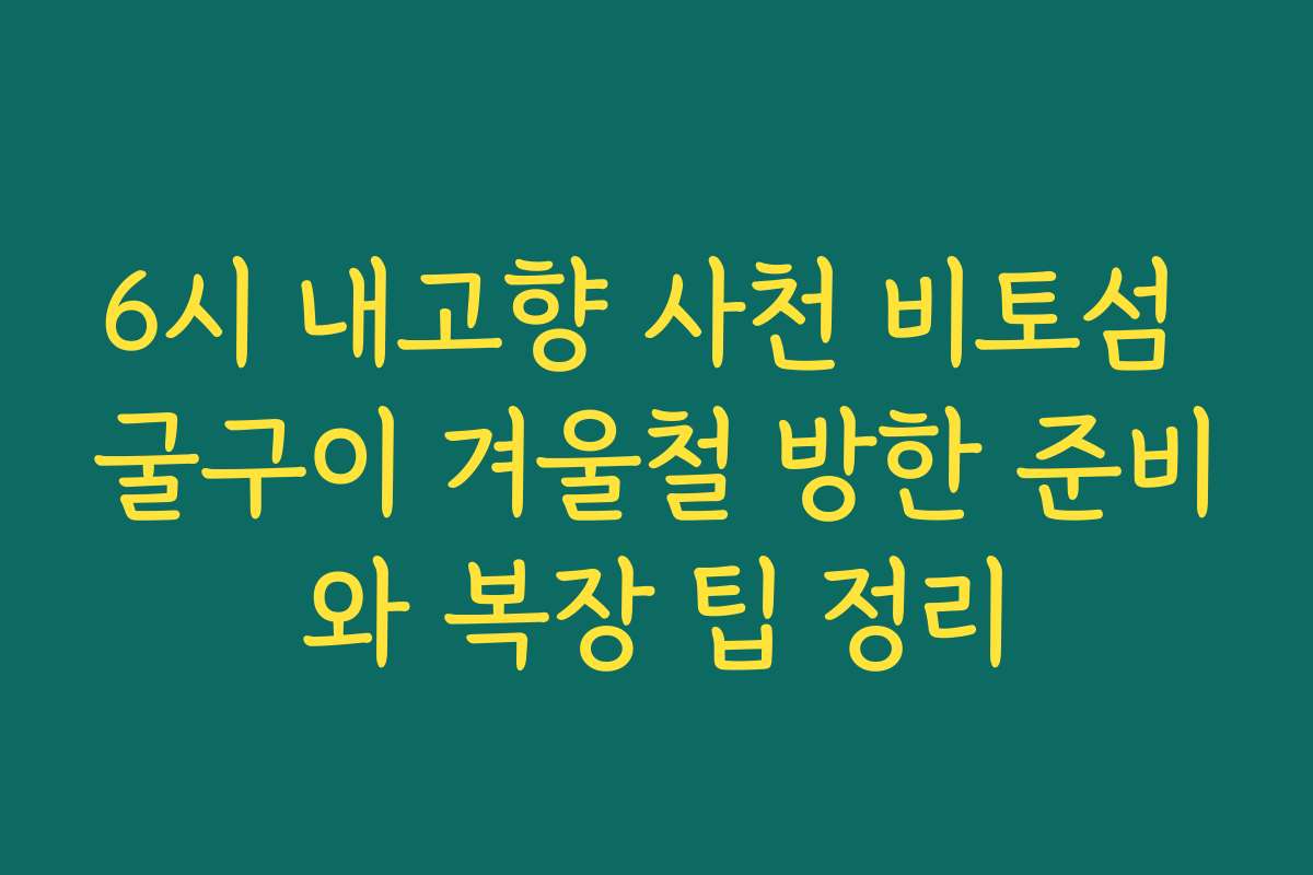 6시 내고향 사천 비토섬 굴구이 겨울철 방한 준비와 복장 팁 정리