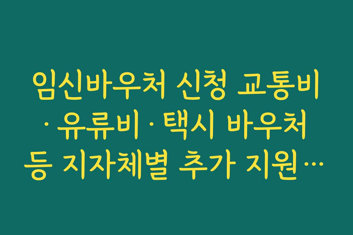 임신바우처 신청 교통비·유류비·택시 바우처 등 지자체별 추가 지원 사업 함께 챙기는 법