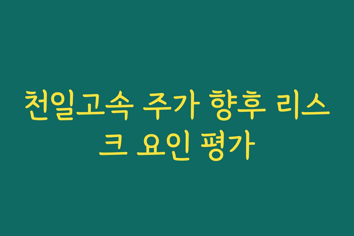 천일고속 주가 향후 리스크 요인 평가