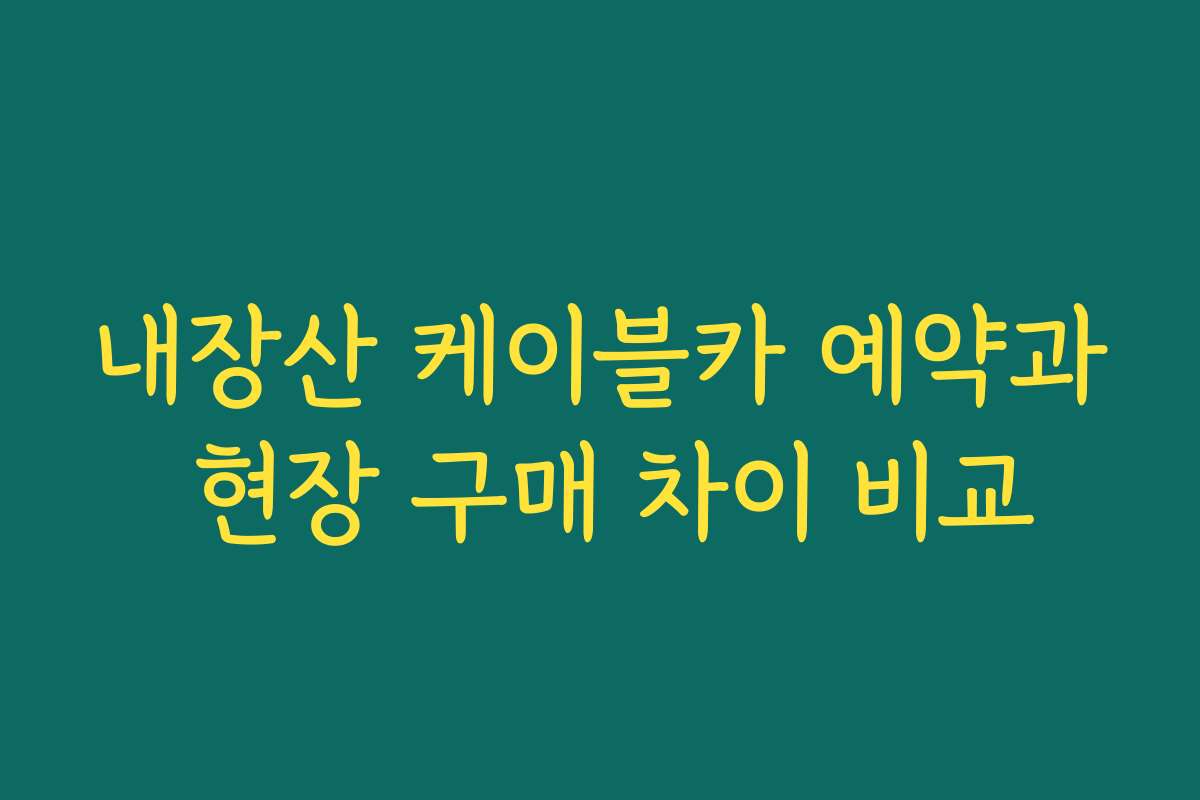내장산 케이블카 예약과 현장 구매 차이 비교