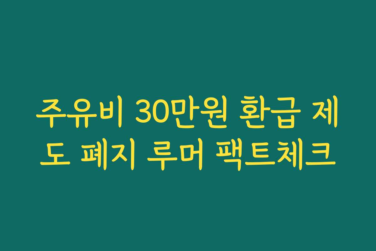 주유비 30만원 환급 제도 폐지 루머 팩트체크
