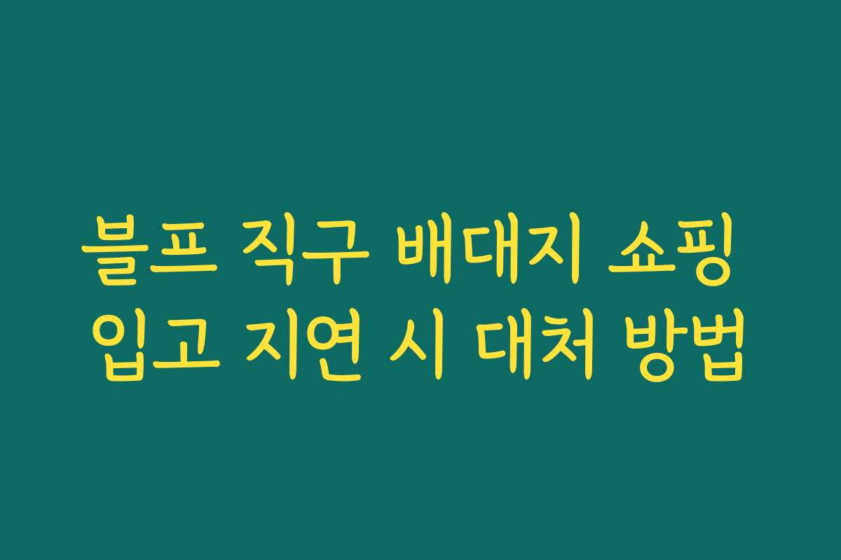 블프 직구 배대지 쇼핑 입고 지연 시 대처 방법