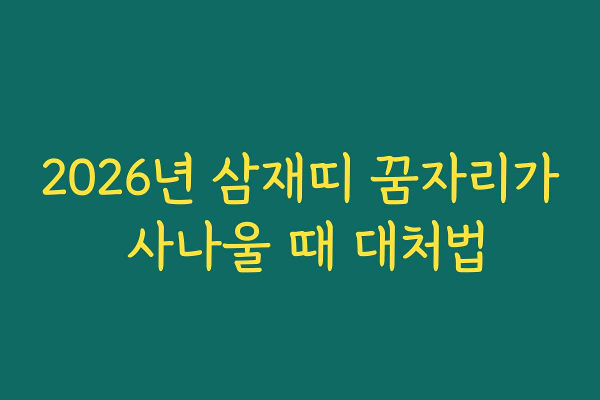2026년 삼재띠 꿈자리가 사나울 때 대처법