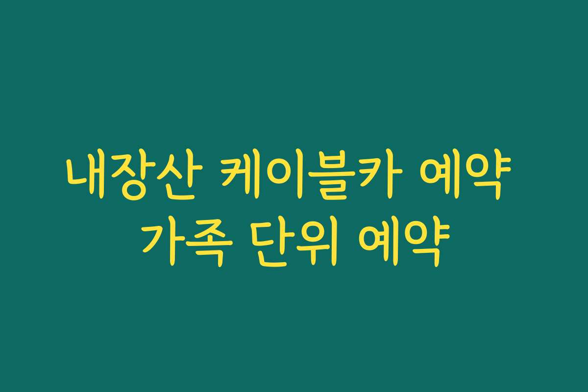내장산 케이블카 예약 가족 단위 예약