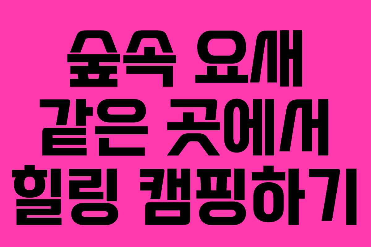 숲속 요새 같은 곳에서 힐링 캠핑하기