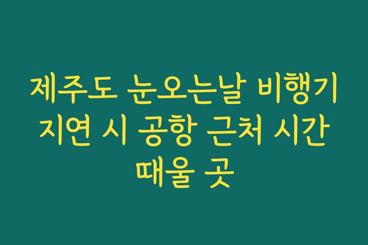 제주도 눈오는날 비행기 지연 시 공항 근처 시간 때울 곳