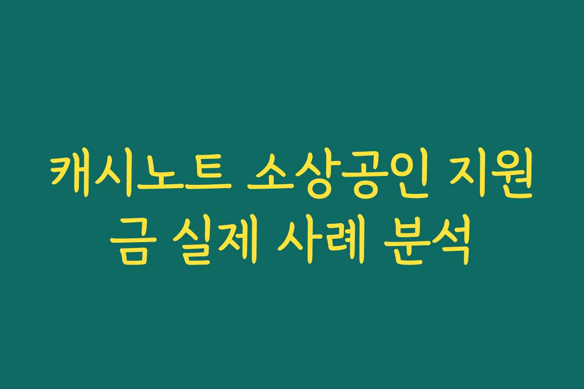 캐시노트 소상공인 지원금 실제 사례 분석