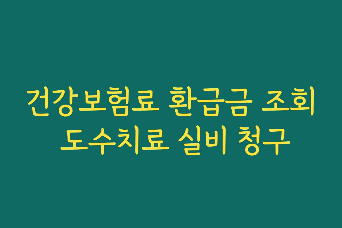 건강보험료 환급금 조회 도수치료 실비 청구