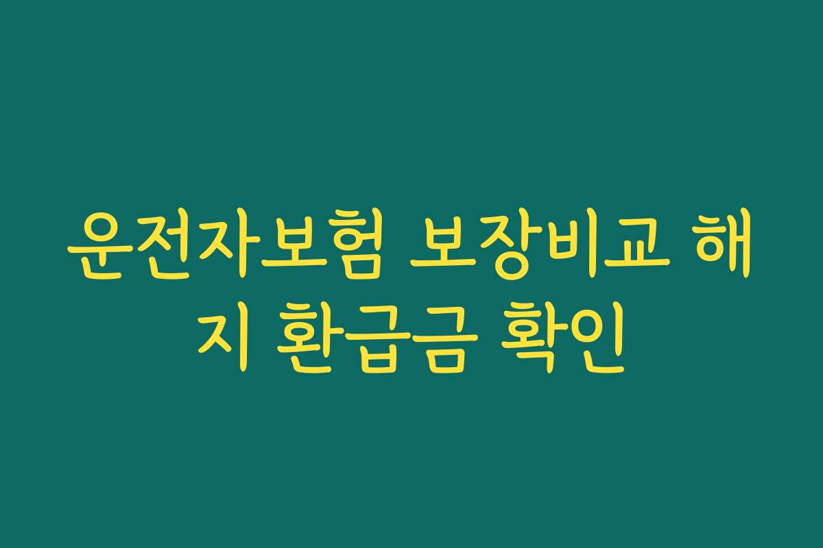 운전자보험 보장비교 해지 환급금 확인