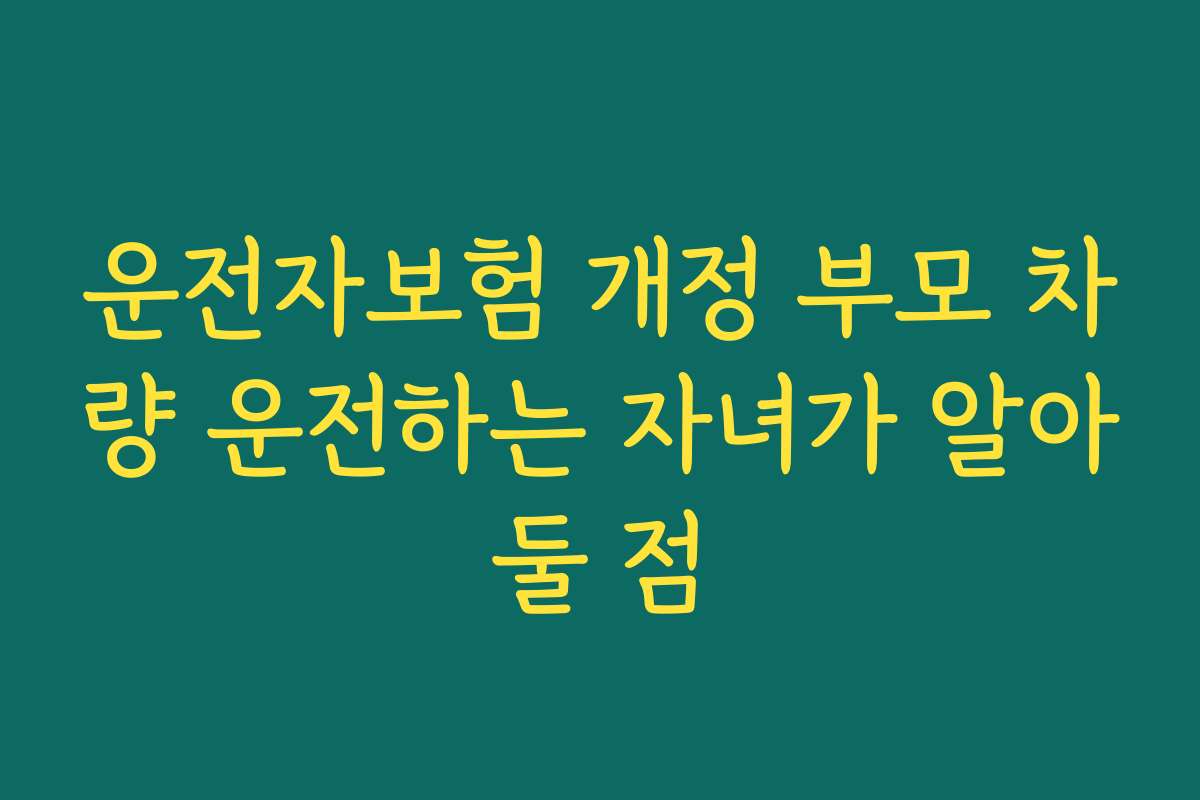 운전자보험 개정 부모 차량 운전하는 자녀가 알아둘 점