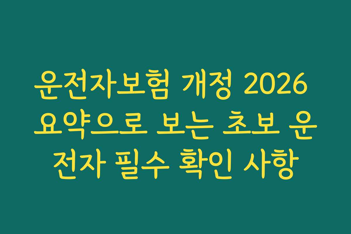운전자보험 개정 2026 요약으로 보는 초보 운전자 필수 확인 사항