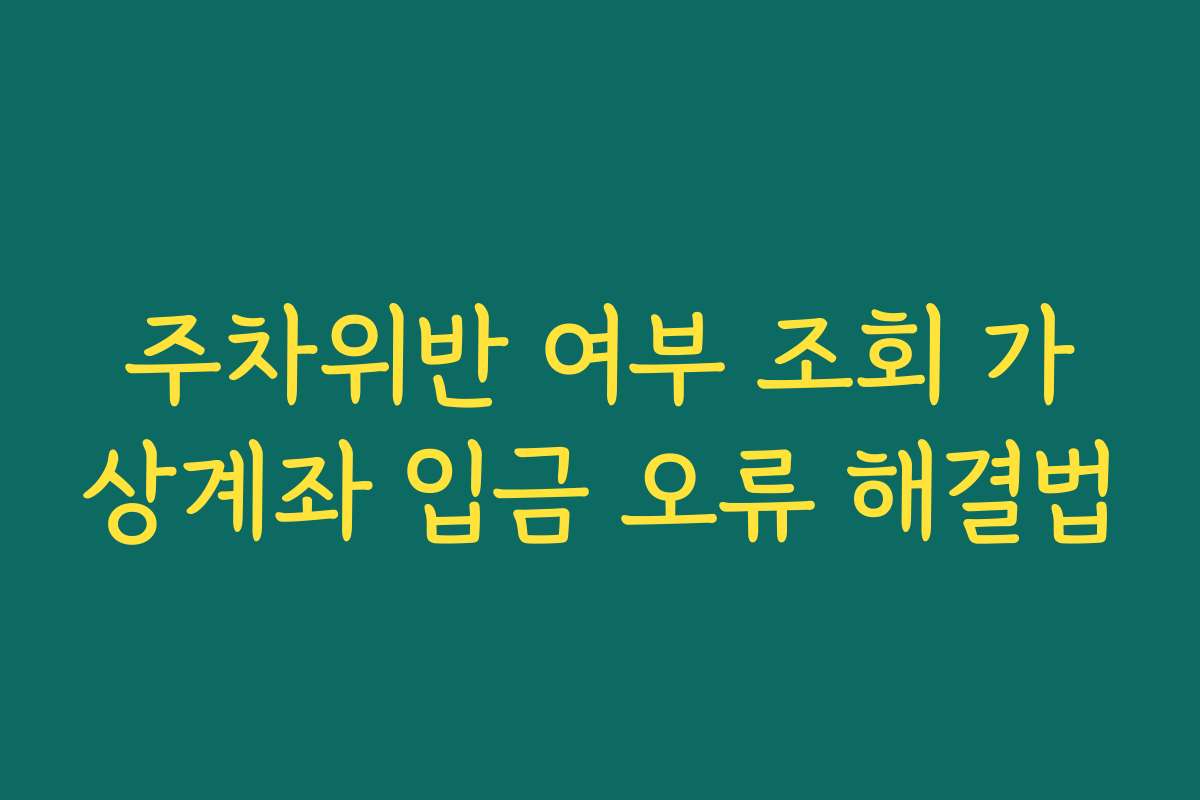 주차위반 여부 조회 가상계좌 입금 오류 해결법