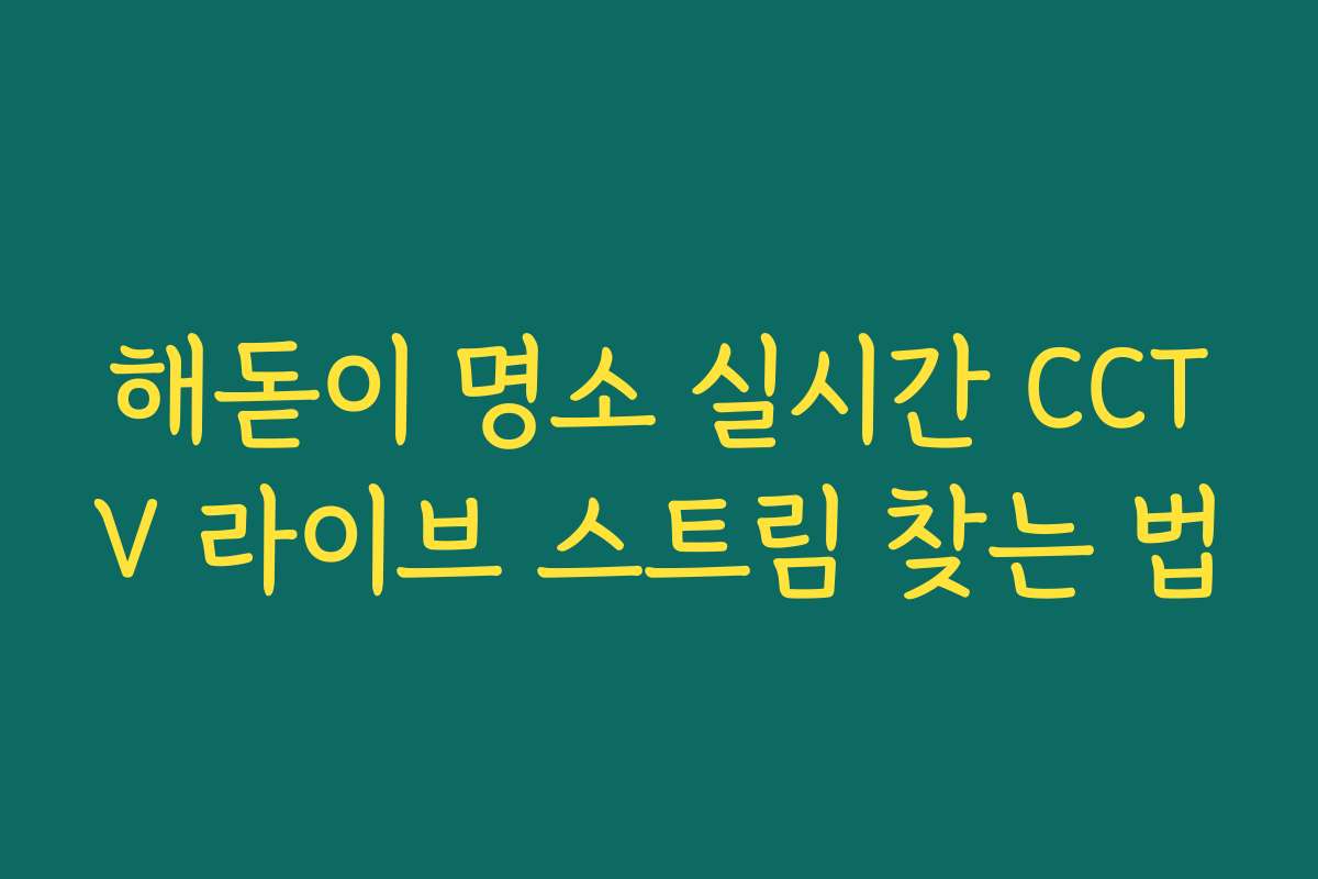 해돋이 명소 실시간 CCTV 라이브 스트림 찾는 법