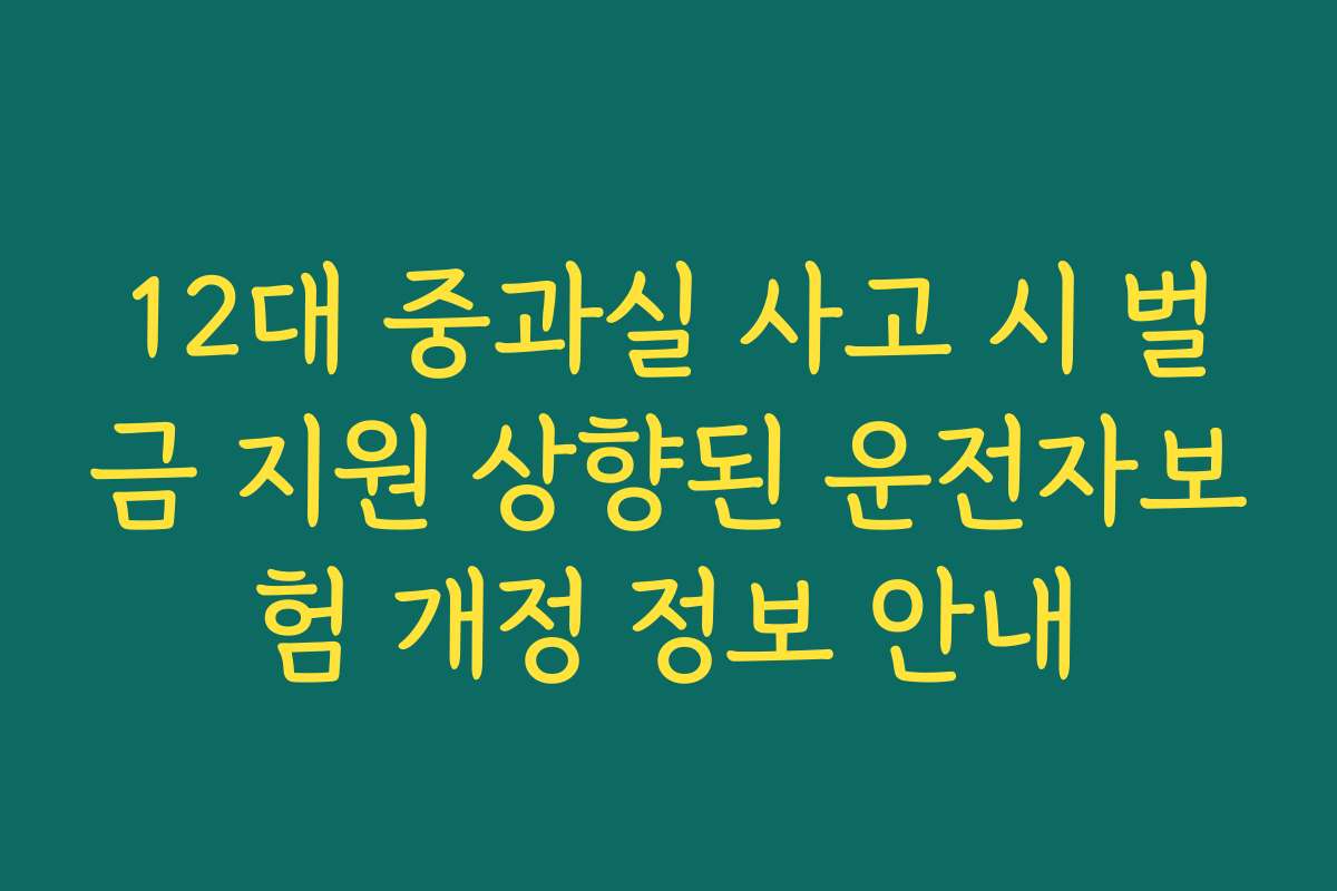 12대 중과실 사고 시 벌금 지원 상향된 운전자보험 개정 정보 안내