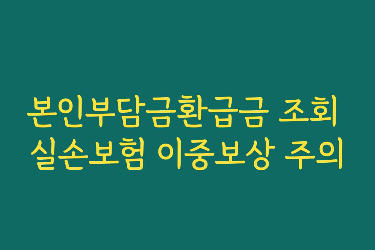 본인부담금환급금 조회 실손보험 이중보상 주의