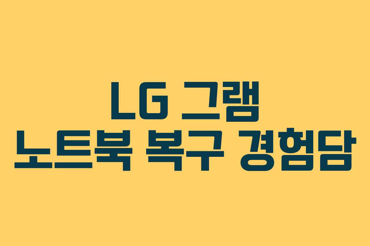 LG 그램 노트북 복구 경험담