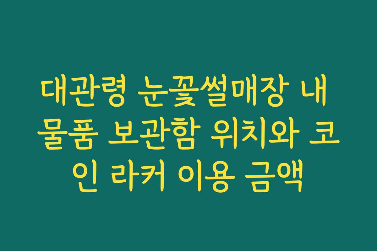 대관령 눈꽃썰매장 내 물품 보관함 위치와 코인 라커 이용 금액